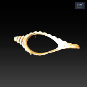 Haridwar Divine Pure Brass only Shankha Stand (not include Shankha)– Handcrafted Conch Shell for Pooja, Home Temple, and Spiritual Decor